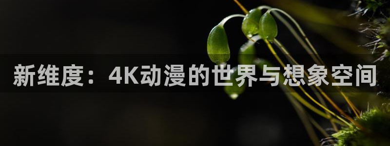58动漫网官方下载：新维度：4K动漫的世界与想象空间