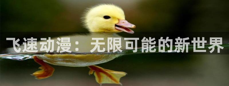58动漫网站官网免费下载：飞速动漫：无限可能的新世界